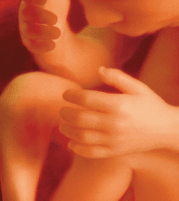 baby in utero at 37 weeks